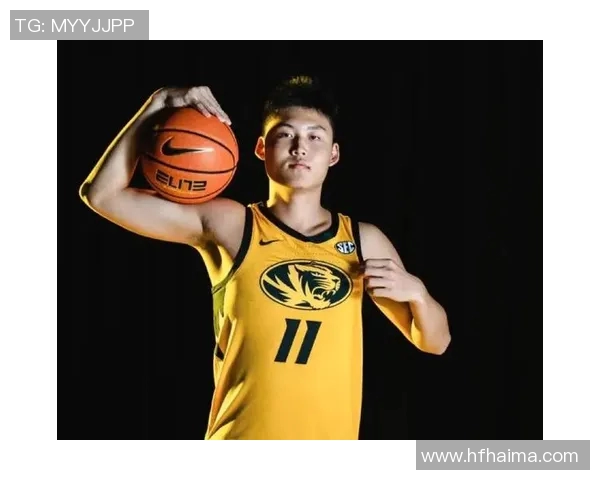 赵泰隆：从篮球新星到职业生涯巅峰的奋斗历程与成就分析